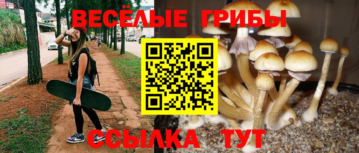 Павловский Посад  Псилоцибиновые грибы MAGIC MUSHROOMS  Псилоцибиновые грибы Magic Shrooms  Вход с VPN 